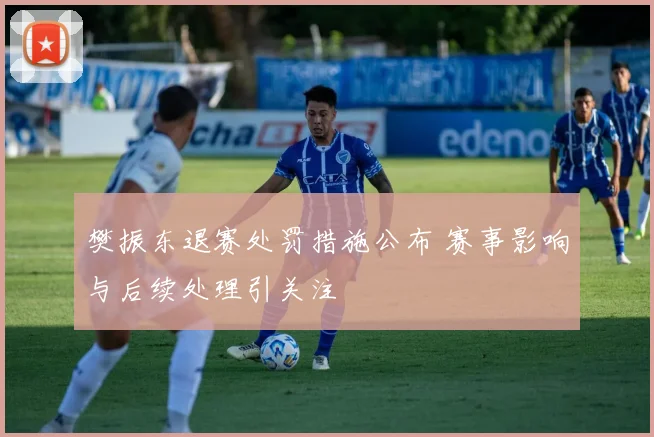 樊振东退赛处罚措施公布 赛事影响与后续处理引关注