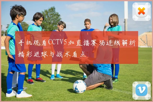 手机观看CCTV5加直播赛场连线解析精彩进球与战术看点
