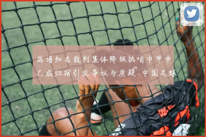 离谱知名裁判集体降级执哨中甲中乙成归宿引发争议与质疑_中国足球协会_比赛_麦麦提江