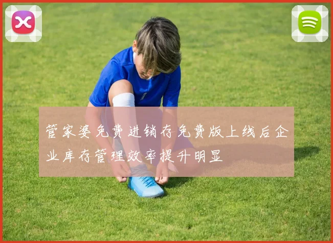 管家婆免费进销存免费版上线后企业库存管理效率提升明显