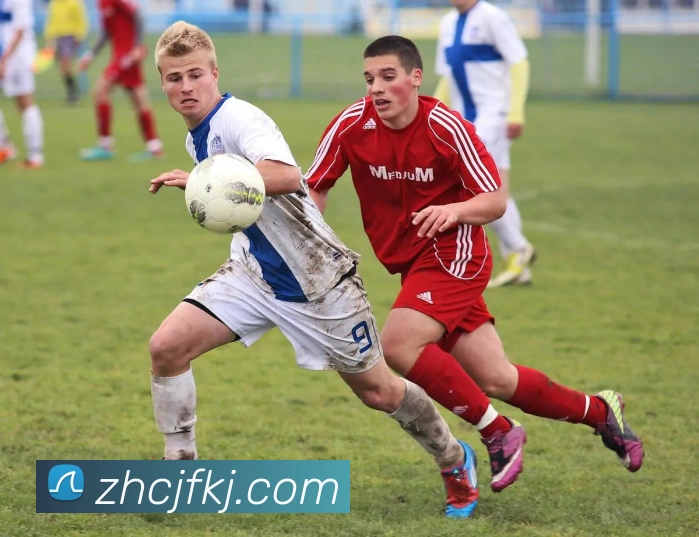 多媒体互动体验